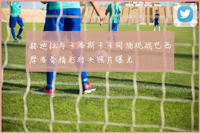 赫迪拉与卡洛斯卡卡同场观战巴西摩洛哥精彩对决照片曝光