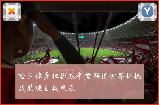 哈兰德勇担挪威希望期待世界杯挑战展现自我风采